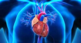 طراحی ضربان‌ساز قلبی با عمر ۳۰۰ سال و قابلیت ۱۰میلیارد بار شارژ