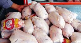 مردم مرغ نمی خورند ، فروشندگان ناچار به کاهش قیمت شدند/ ستاد تنظیم بازار گرانترش می کند؟
