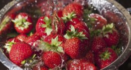 ۵ تا از بهترین روش های شستن توت فرنگی و از بین بردن کرم های آن