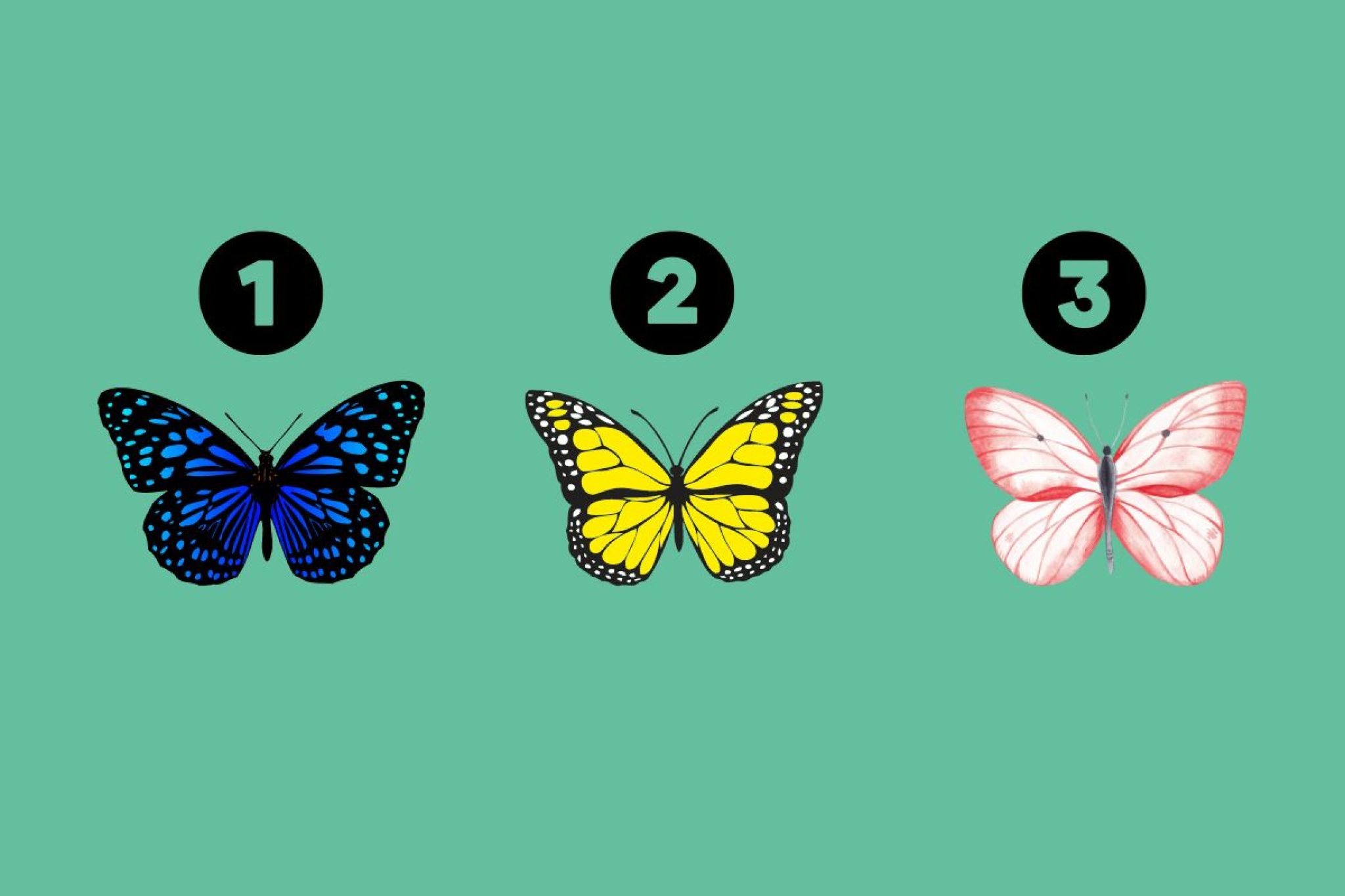 تست شخصیت شناسی:با انتخاب یک پروانه میزان خلاقیت خود را بسنجید