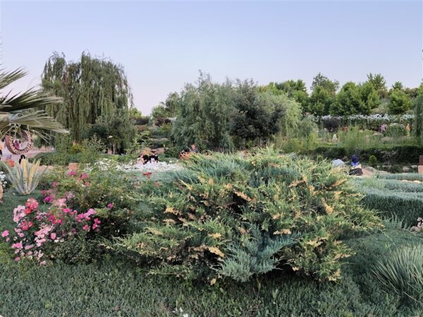 باغ گل های شیراز در محله دینکان