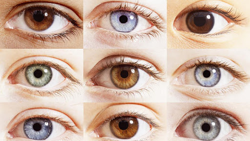 شخصیت شناسی و کشف ویژگی های درونی از روی رنگ چشم ها