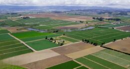 اشتباه عجیب دولتی ها در مصادره زمین ها که کشاورزان قزوین باید ضررش را بدهند