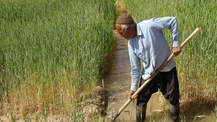 خبری خوش برای کشاورزان استان فارس که بدهکاری بانکی دارند