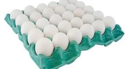 باکتری سالمونلا چگونه تخم مرغ را آلوده می‌کند؟ تخم‌مرغ باید در یخچال نگهداری شود