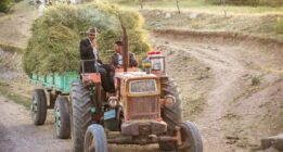 کشاورزان : پول گندم را بدهید تراکتور نخواستیم/چرخ بازار «تراکتور» لنگ می‌زند