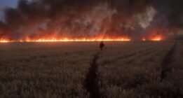 صاعقه مزارع گندم شهرستان بیضا را به آتش کشید