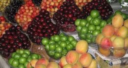 گرانی در میوه فروشی‌های شیراز بیداد می کنند/ توی استان فارس مسئولی هست؟