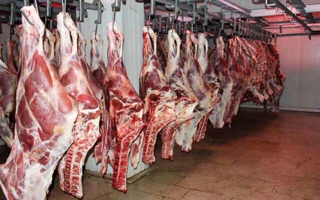 توزیع 300 تن گوشت گرم گوساله وارداتی در استان فارس درست ، اما کجا توزیع می شود؟