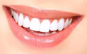 رشد مجدد دندان‌های دائمی امکان پذیر است