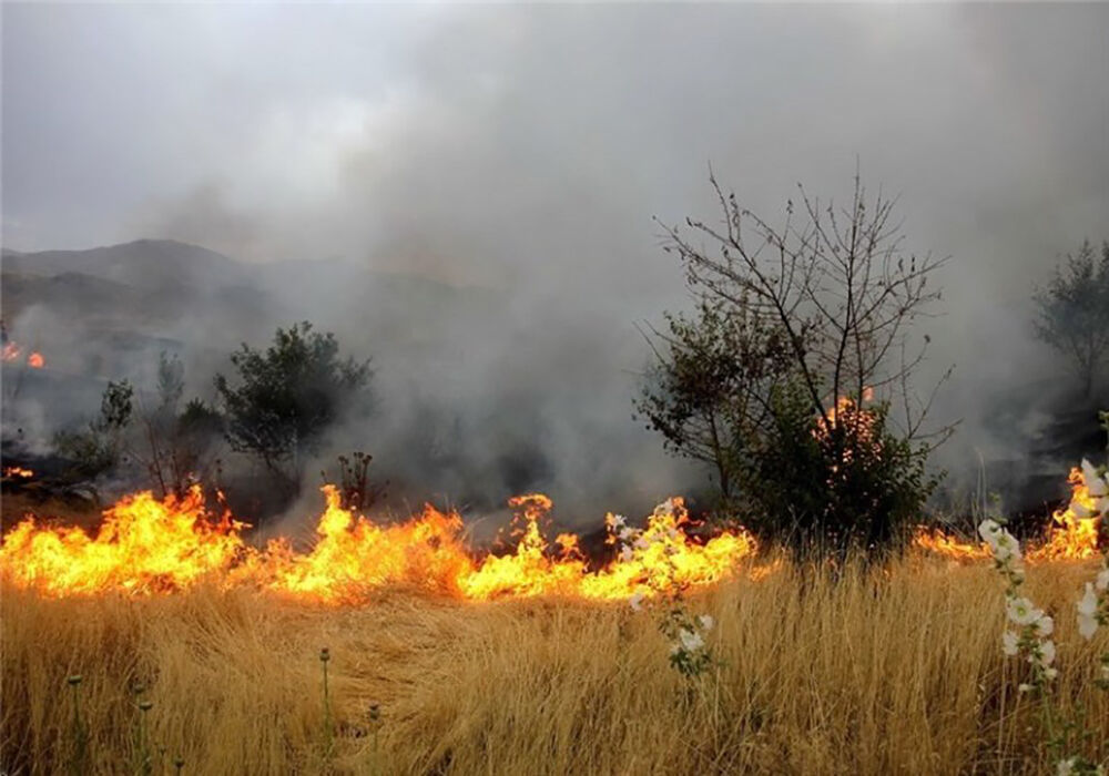 آتش سوزی وسیع جنگل های ارتفاعات تخته گیلکی فیروزآباد