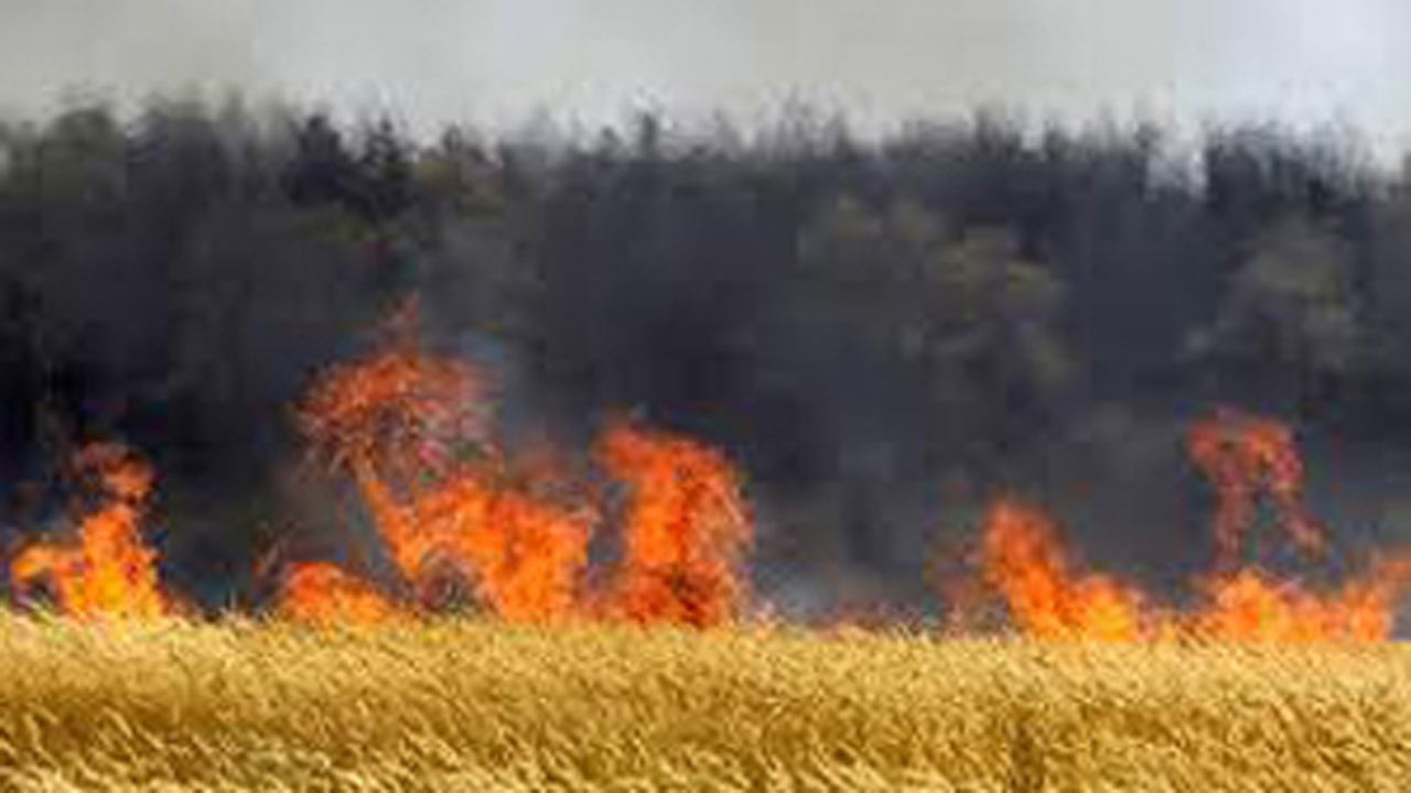 آتش سوزی در مراتع طبیعی و ارتفاعات ششده و قره بلاغ+جزئیات