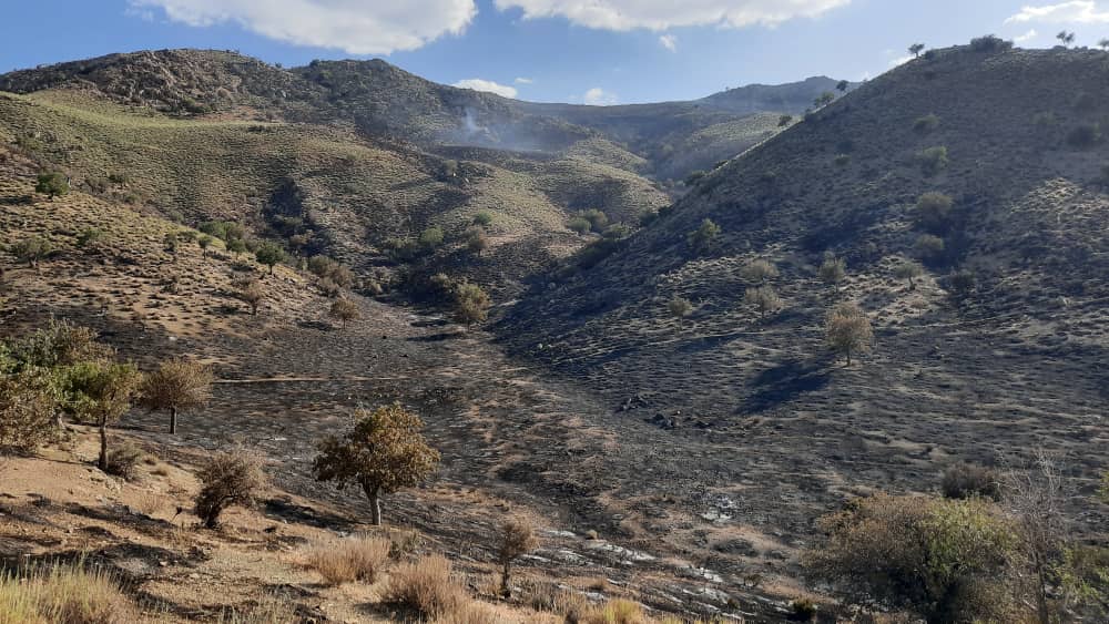وقوع آتش سوزی شدید در ارتفاعات سپیدان و بیضا