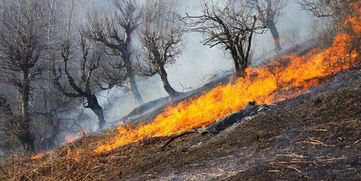 آتش سوزی عمدی ، مهیب و گسترده در کوه رُنج ممسنی ادامه دارد