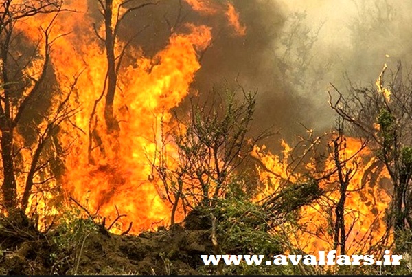 آتش سوزی گسترده مزارع و مراتع  ممسنی