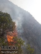 آتش سوزی در زاگرس از کازرون تا فراشبند،جنگل‌های فارس زبانه می‌کشند+تصاویر