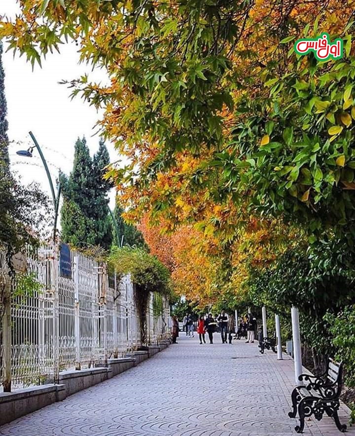 معروفترین خیابان ایران در شیراز که هیچ مغازه ای در آن نیست+تصاویر