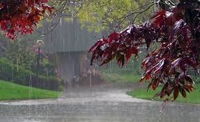 آغاز باران پاییزی در فارس از امروز ۱۱ مهرماه
