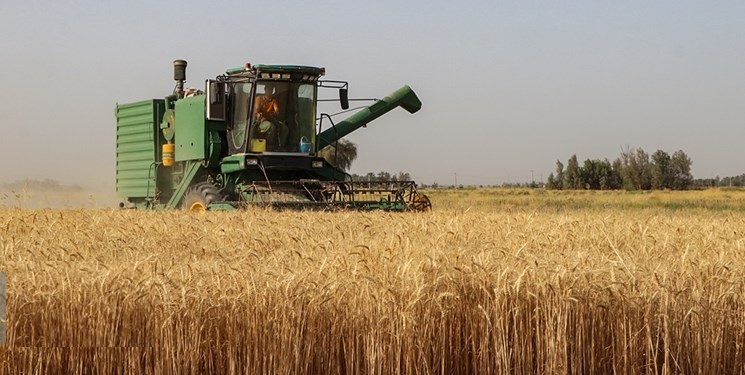 توقف فعالیت ۲۰۰۰ دستگاه کمباین در مزارع گندم استان فارس بدلیل نبود سوخت
