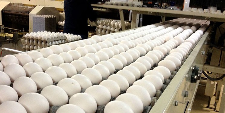 هر عدد تخم مرغ ۱۵۰۰ تومان/ افزایش ۶۴ درصدی قیمت تخم مرغ طی یک سال
