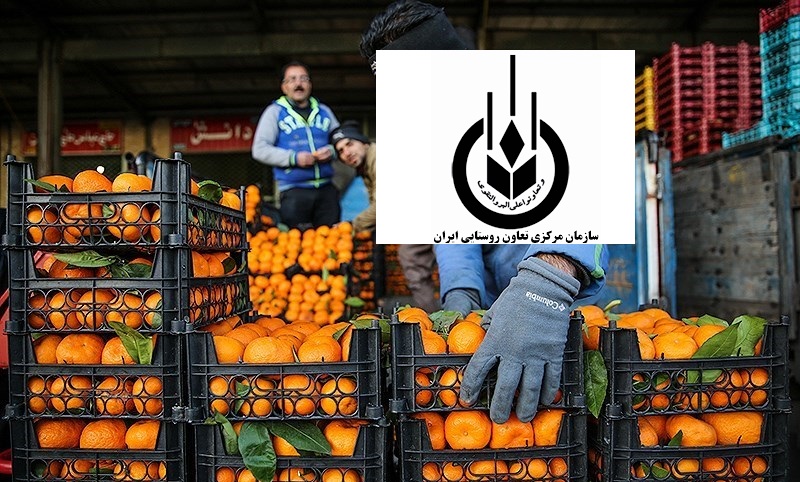 ارجاع پرونده تخلفات تعاون روستایی در خرید میوه شب عید به قوه قضاییه