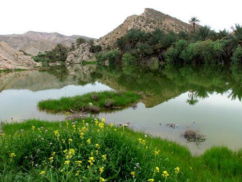 تنگ مُهر منطقه ای خوش آب و هوا در جنوب استان فارس+ تصاویر