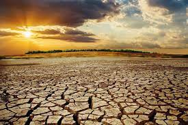 هشدار آب منطقه‌ای به کشاورزان استان فارس در خصوص بارندگی