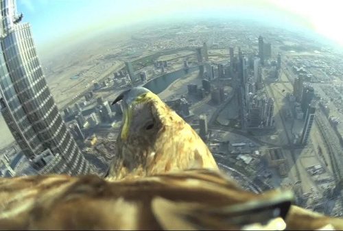 اول فارسTV|شهر دبی از چشم عقاب شیطان (ویدیو)