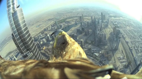 اول فارسTV|شهر دبی از چشم عقاب شیطان (ویدیو)