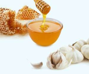 فواید درمانی مصرف روزانه ترکیب سیر و عسل