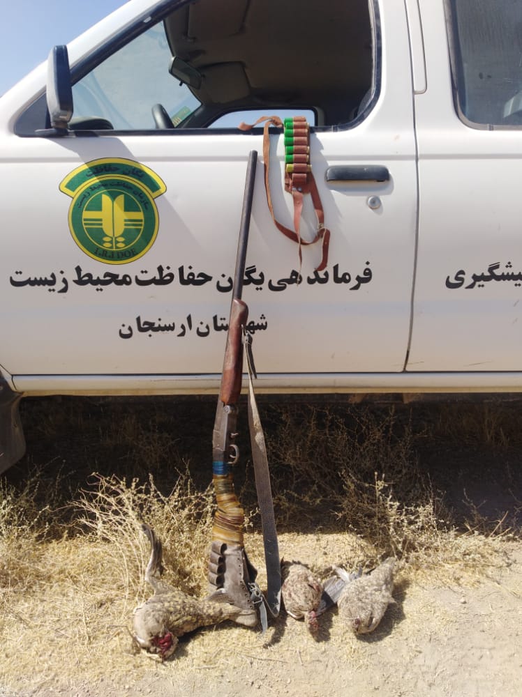 عامل کشتار پرندگان در ارسنجان دستگیر شد