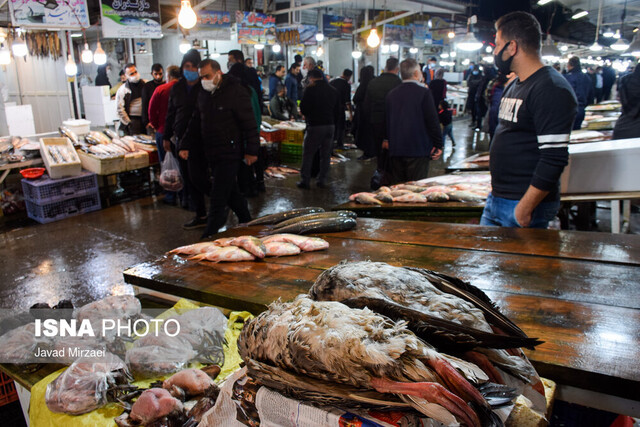 شیوه عجیب ۲ دره کردن مردم با فروش ماهی تقلبی در استان‌های همجوار بوشهر