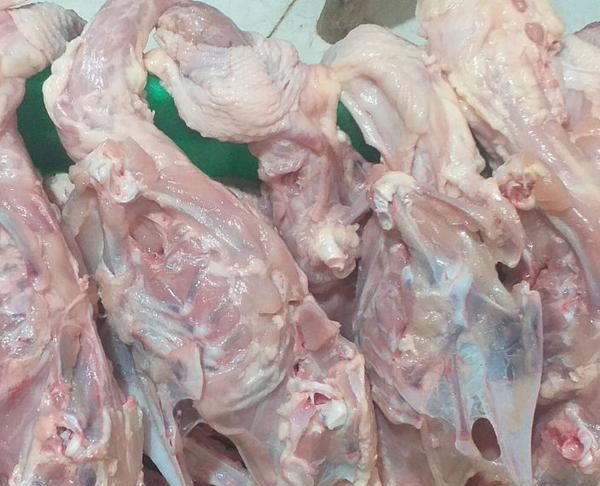 آیا قیمت مرغ تا ۱۰۰ هزار تومان بالا می رود؟