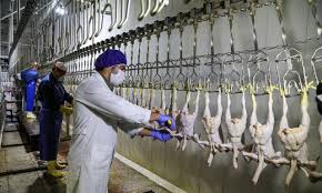 اخلال گران در عرضه و قیمت گذاری کاذب بازار مرغ دستگیر شدند