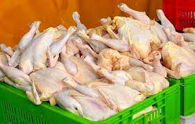 تدابیر جهاد کشاورزی فارس برای تامین گوشت مرغ در تعطیلات نوروزی