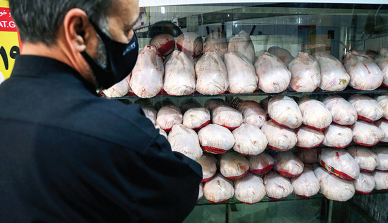 یکسال گذشت و مرغ در بازار شیراز تنظیم نشد