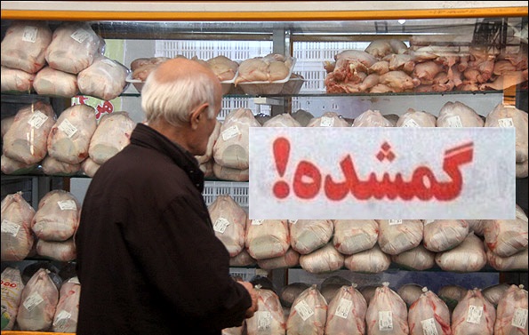 مفقود شدن روزانه ۴۰۰ تن مرغ کشتار روز در استان فارس؟!