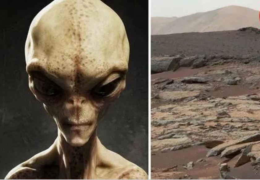 موجود زنده ۴۰ سال پیش روی مریخ کشف شده بود