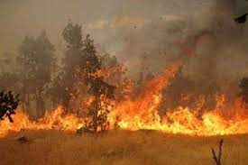 آتش سوزی مهیب در جنگل‌های ممسنی ادامه دارد
