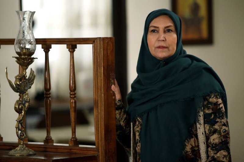 دلیل رفت و آمدهای زیاد بازیگر زن مشهور به شیراز ! +تصاویر