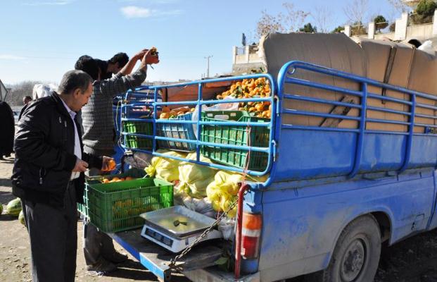 کلاهبرداری ۵ میلیاردی میوه فروش سیار از مشتریان در شیراز