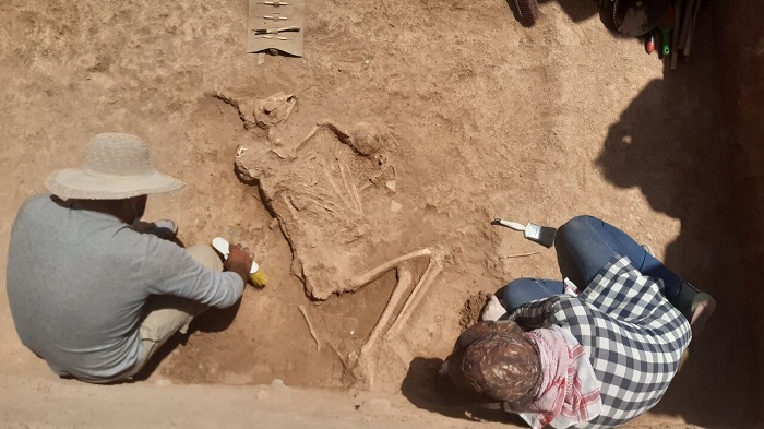 کشف آثاری از تمدن ایلامی در روستای هیربدان داراب فارس