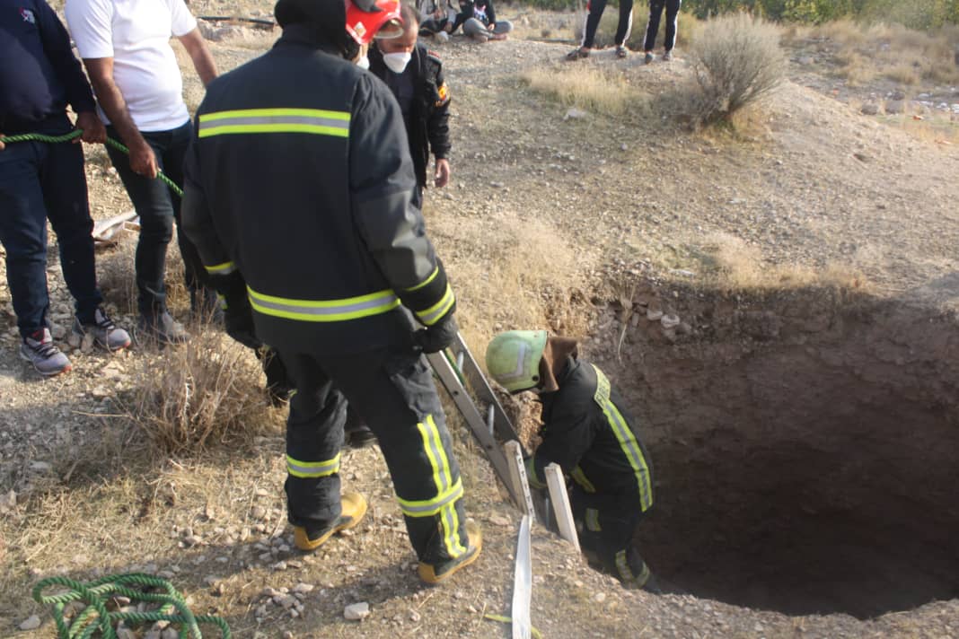 ماجرای سقوط جانوران وحشی و اهلی به یک چاه مرموز در شیراز
