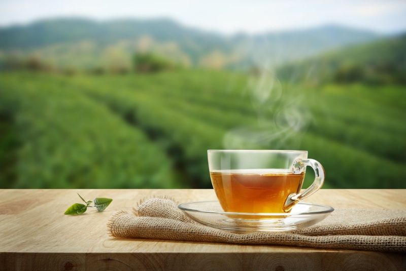 کشف ۵۰۰ ترکیب ناشناخته خطرناک در نوشیدنی چای 