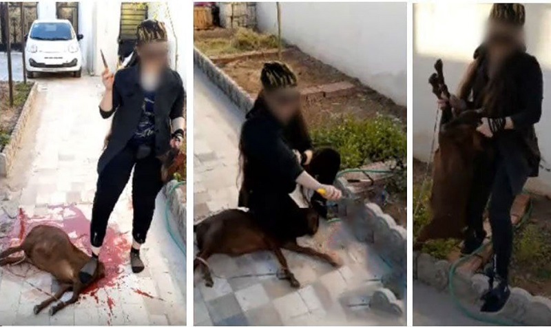 قصابی وحشتناک حیوانات توسط زنان در تهران + عکس ها