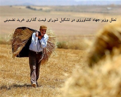 تعلل وزیر جهاد کشاورزی در تشکیل شورای قیمت گذاری خرید تضمینی محصولات کشاورزی